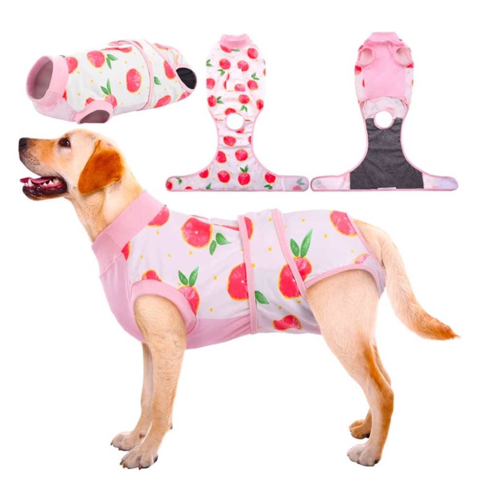 🦋Dog or Cat Onesies,  Pet Surgery Recovery Suit Size Large, NWOT